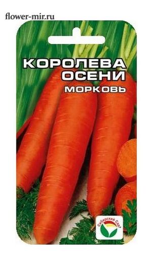 Морковь Королева Осени Сибирский Сад