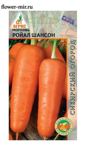 Морковь Ройал Шансон Агрос