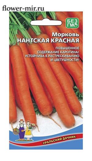 Морковь Нантская Красная  Уральский Дачник