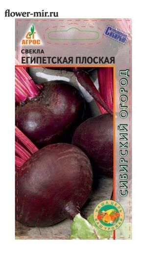 Свекла Египетская Плоская  Агрос