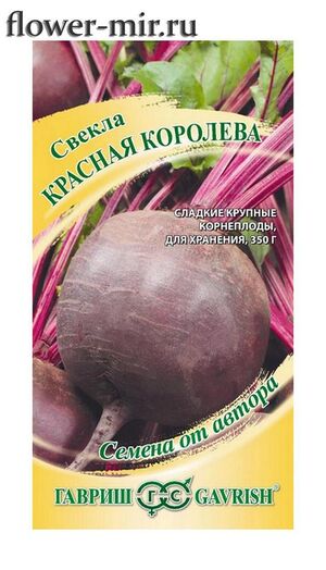 Свекла Красная Королева серия от автора  Гавриш
