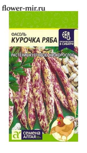 Фасоль Курочка Ряба Семена Алтая