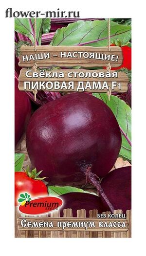 Свекла Пиковая Дама Премиум Сидс