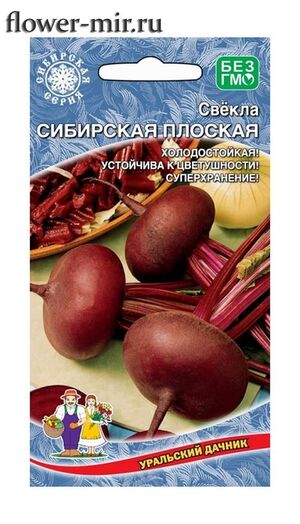 Свекла Сибирская Плоская  Уральский Дачник