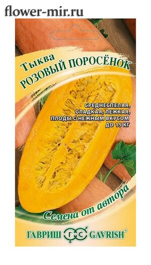 Тыква Розовый Поросёнок серия от Автора Гавриш