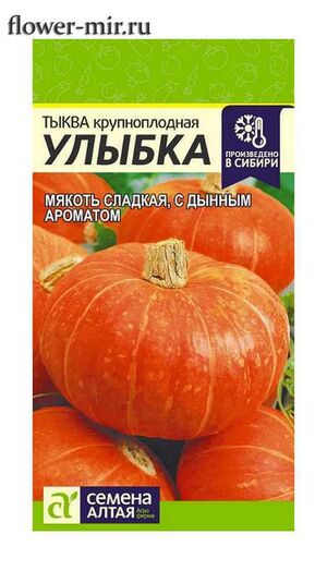 Тыква Улыбка Семена Алтая