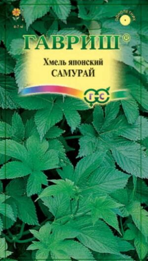 Хмелевик лазающий (Хмель Японский) Самурай Гавриш