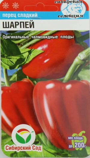 Перец Шарпей Сибирский Сад
