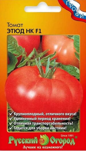 Томат Этюд F1 Русский Огород (НК)