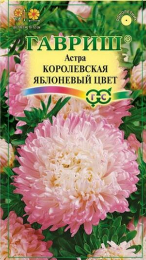 Астра Королевская Яблоневый цвет пионовидная Гавриш