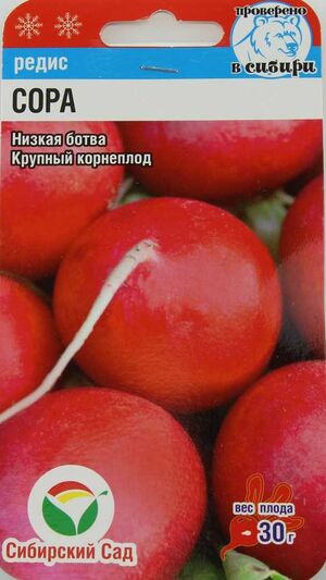 Редис Сора Сибирский Сад