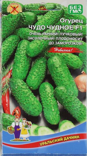 Огурец Чудо Чудное  Уральский Дачник