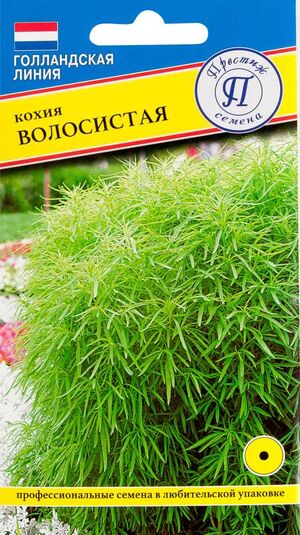 Кохия Волосистая Престиж Семена