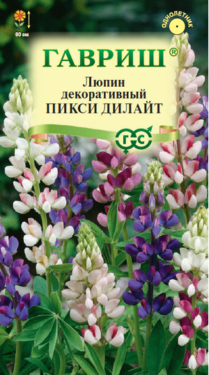 Люпин декоративный Пикси Дилайт, однолетник Гавриш