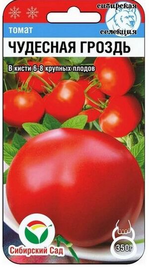Томат Чудесная Гроздь Сибирский Сад