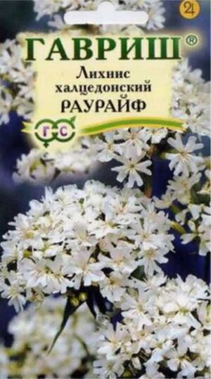 Лихнис Халцедонский Раурайф Гавриш