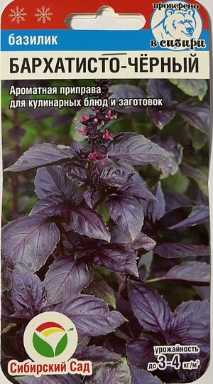 Базилик Бархатисто-Чёрный Сибирский Сад