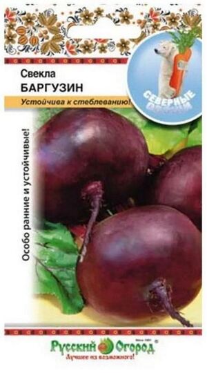 Свекла Баргузин серия Северные Овощи Русский Огород