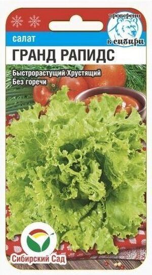 Салат Гранд Рапидс Сибирский Сад