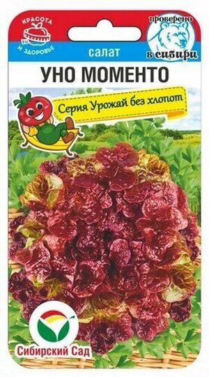 Салат Уно Моменто листовой Сибирский Сад