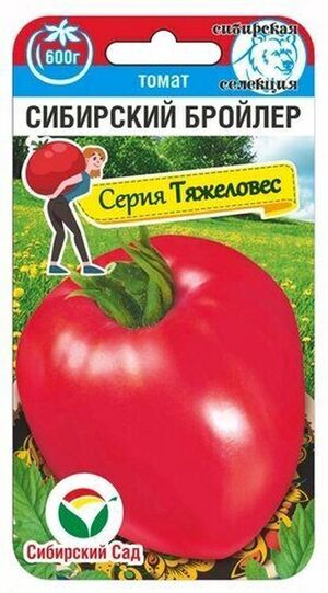 Томат Сибирский бройлер  Сибирский Сад