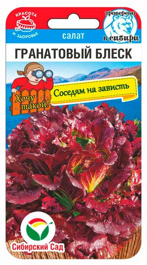 Салат Гранатовый Блеск Сибирский Сад