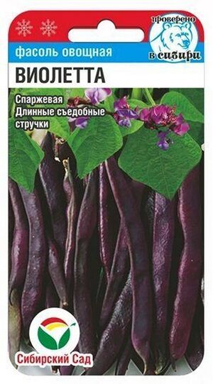 Фасоль Виолетта Сибирский Сад