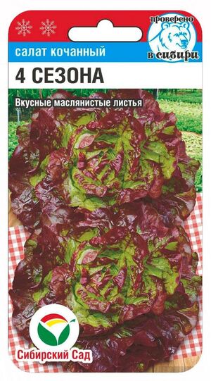 Салат 4 сезона (кочанный, красный) Сибирский Сад