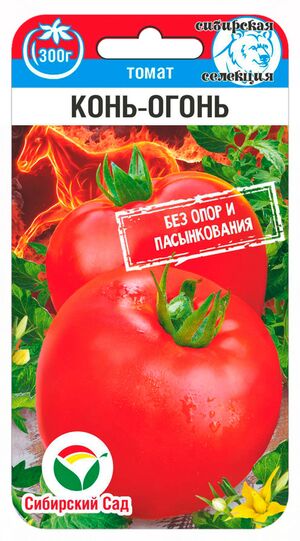 Томат Конь-огонь Сибирский Сад