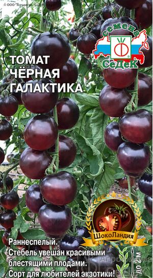 Томат Черная Галактика Седек