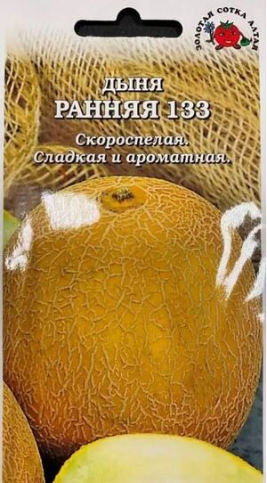 Дыня Ранняя Золотая Сотка Алтая