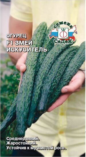 Огурец Змей Искуситель Седек