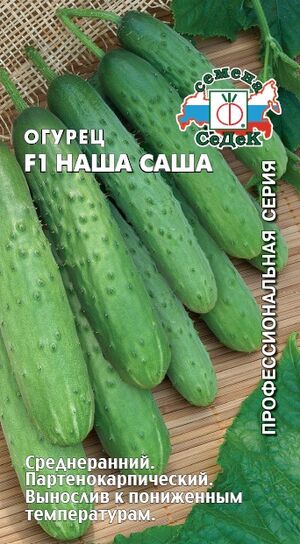 Огурец Наша Саша F1 Седек