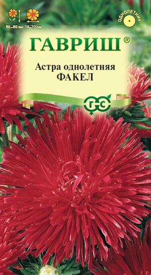 Астра Факел однолетняя игольчатая красная Гавриш