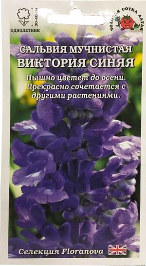 Сальвия Виктория Синяя Золотая Сотка Алтая