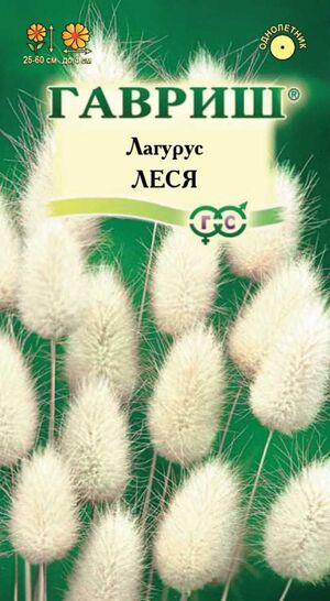 Лагурус Леся (Зайцехвост яйцевидный) Гавриш
