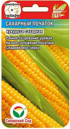 Кукуруза Сахарный Початок Сибирский Сад