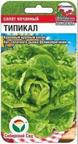 Салат Типикал Сибирский Сад
