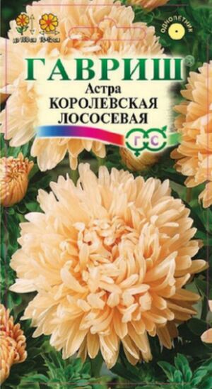 Астра Королевская Лососевая пионовидная Гавриш