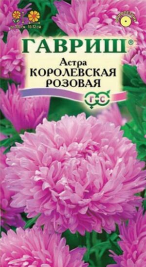 Астра Королевская Розовая пионовидная Гавриш