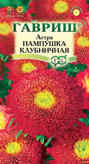 Астра Пампушка Клубничная однолетняя Гавриш