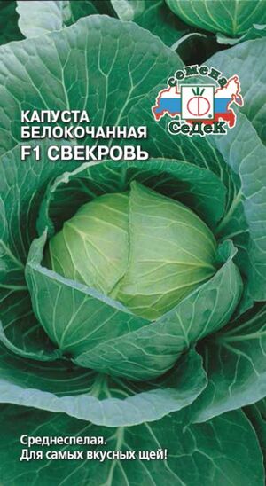 Капуста Свекровь F1 белокочанная Седек