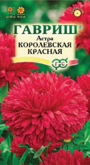 Астра Королевская Красная пионовидная Гавриш