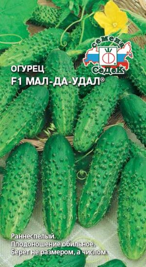Огурец Мал-да-удал F1 Седек