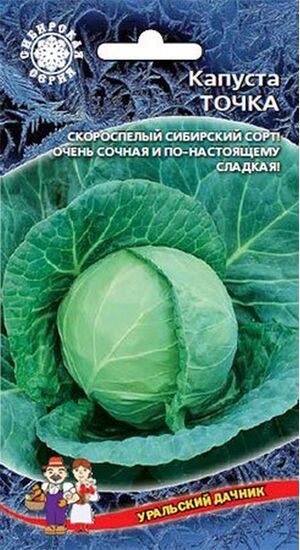 Капуста Точка белокочанная  Уральский Дачник