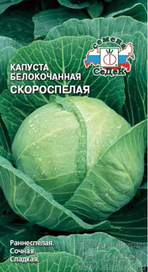 Капуста Скороспелая белокочанная  Седек