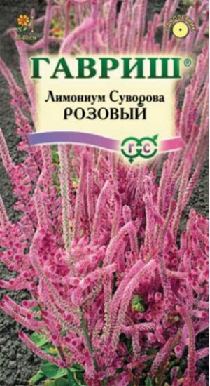 Лимониум (Статице , Кермек) Суворова Розовый Гавриш