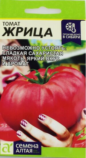 Томат Жрица Семена Алтая
