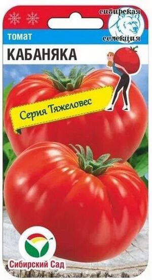 Томат Кабаняка Сибирский Сад