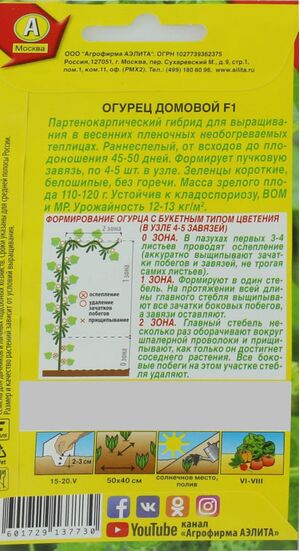 Огурец Домовой F1 Аэлита